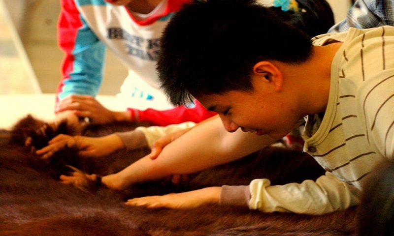 視障孩子動手觸摸動物毛皮