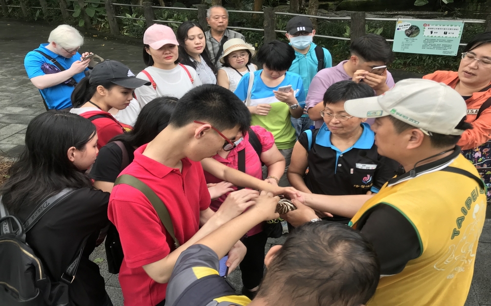 觸覺方式體驗不同動物毛皮標本教材