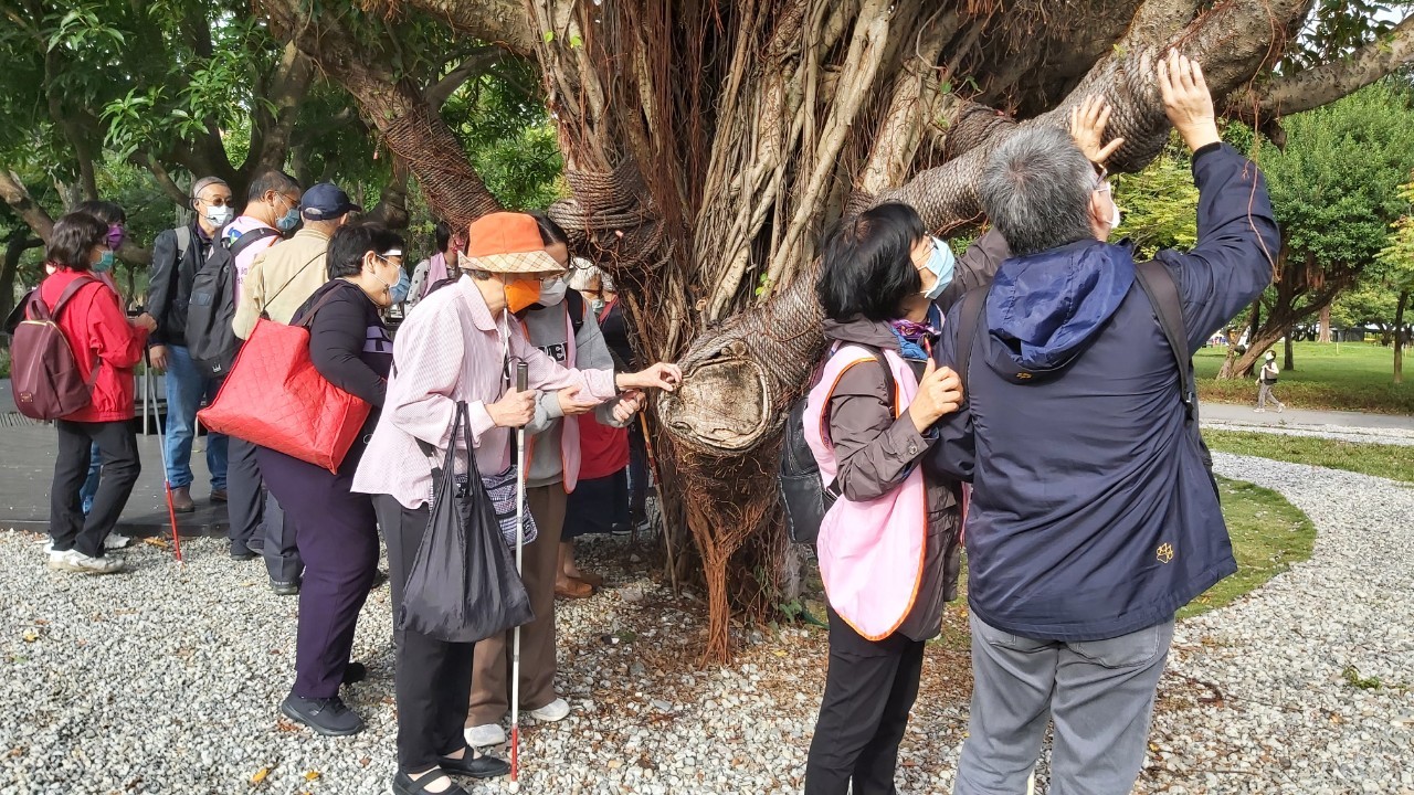 觸摸大安森林公園的樹皮